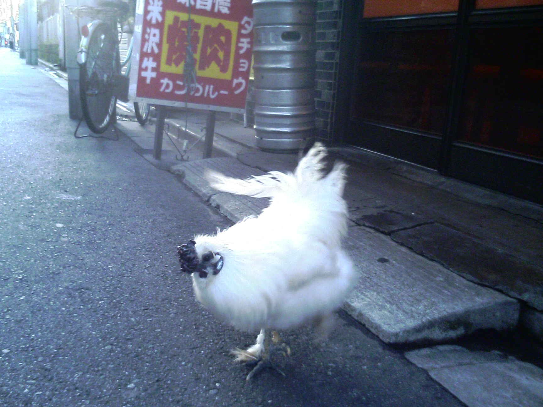 あれきさんだーしゃぼー 数馬blog あれきさんだーしゃぼー 数馬blog