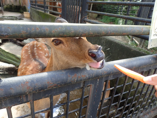 宇都宮動物園 (15)