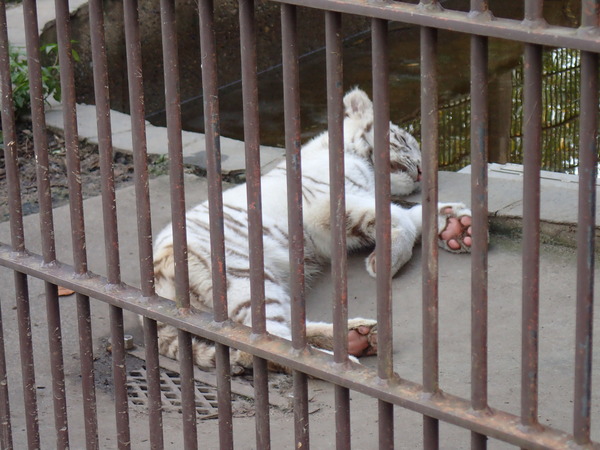 宇都宮動物園 (3)