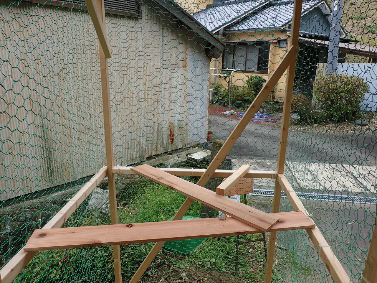 自作の鳥小屋で鶏の飼育を始めました。 : 伊豆で自然と暮らしたい☆