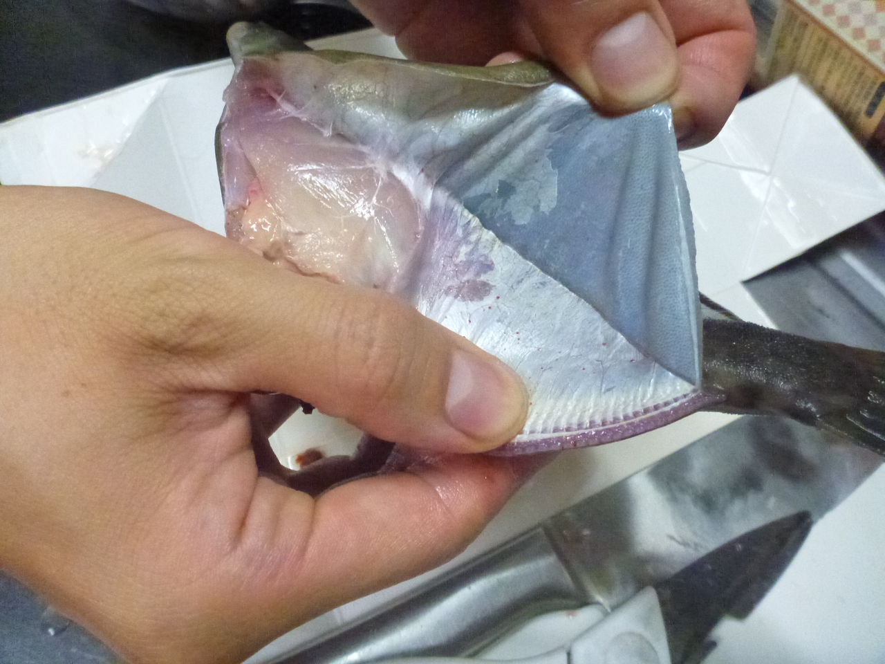 釣ったカワハギの皮をなめしてみた その１仕込編 伊豆で自然と暮らしたい