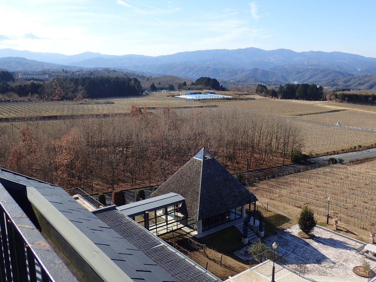 伊豆 おすすめ す ぽっと 中 伊豆 ワイナリー ヒルズ