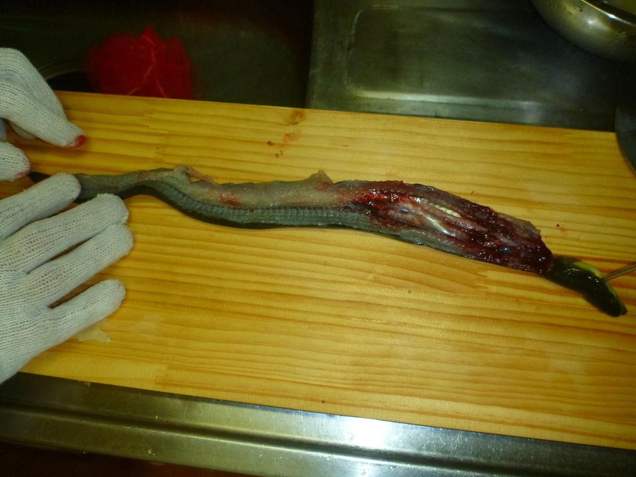 お魚キラーで捕まえたウナギを捌いてみた その1 うなぎを捌く 伊豆で自然と暮らしたい お魚キラーで捕まえたウナギを捌いてみた その1 うなぎを捌く 伊豆で自然と暮らしたい