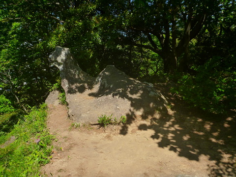 香貫山 (11)