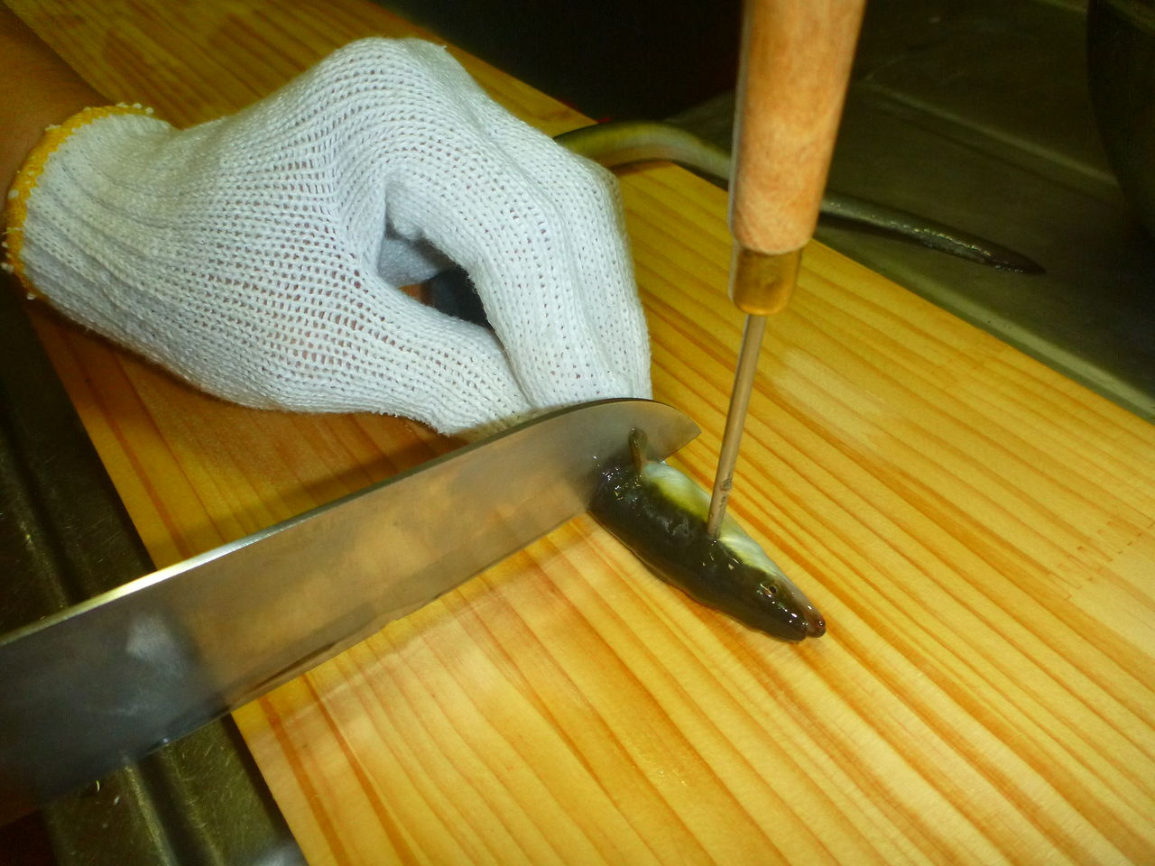 お魚キラーで捕まえたウナギを捌いてみた その１ うなぎを捌く 伊豆で自然と暮らしたい