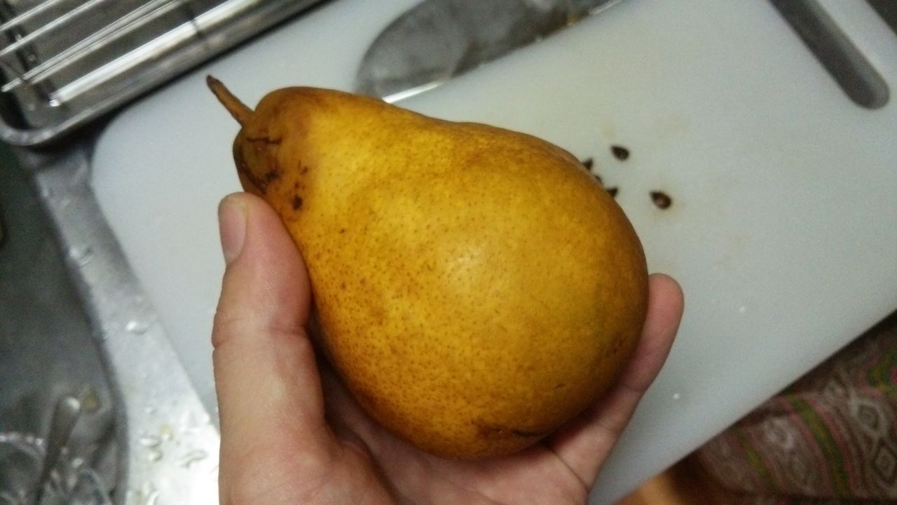 食べ蒔き 洋ナシの種を採取 種だけがどんどん貯まっていく 伊豆で自然と暮らしたい 食べ蒔き 洋ナシの種を採取 種だけがどんどん貯まっていく 伊豆で自然と暮らしたい