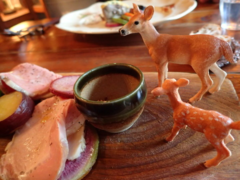 ディレッタントカフェ (3)