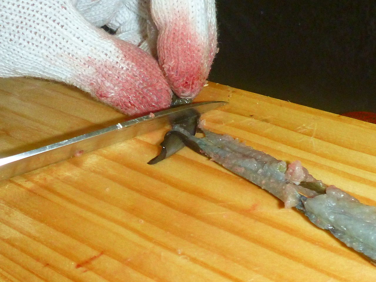 お魚キラーで捕まえたウナギを捌いてみた その１ うなぎを捌く 伊豆で自然と暮らしたい