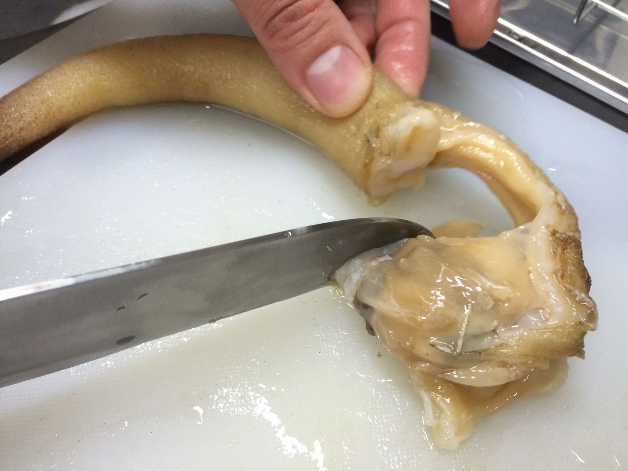 捌き方公開 ミル貝が売っていたので捌いて食べてみた 伊豆で自然と暮らしたい