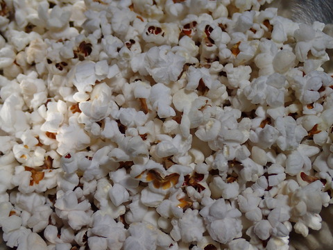 簡単 収穫したとうもろこしで絶品のポップコーンを作ろう 伊豆で自然と暮らしたい