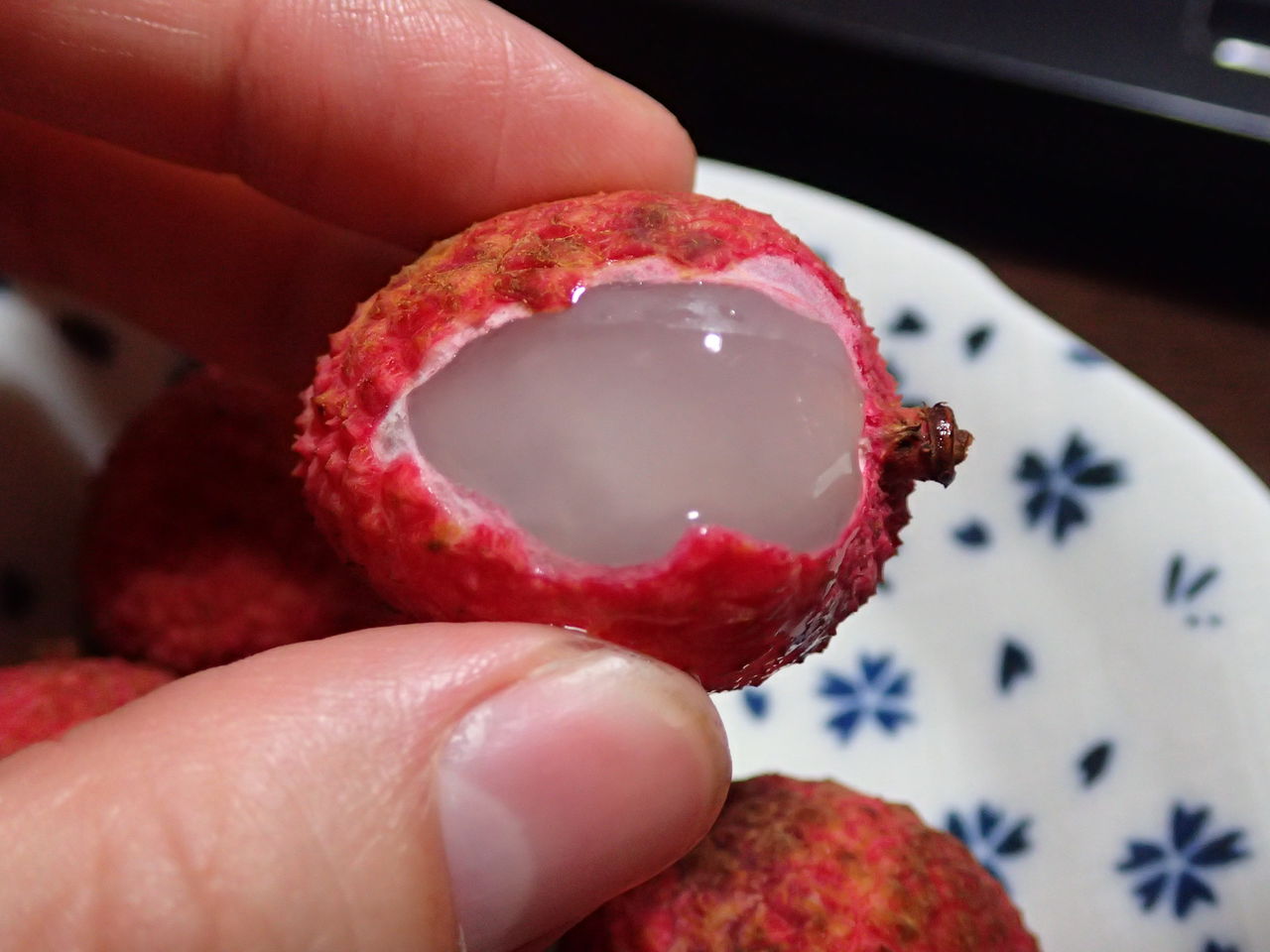 食べ蒔き 在来種のライチの食べ蒔きに挑戦 あっという間に発芽した 伊豆で自然と暮らしたい