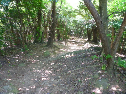 香貫山 (13)