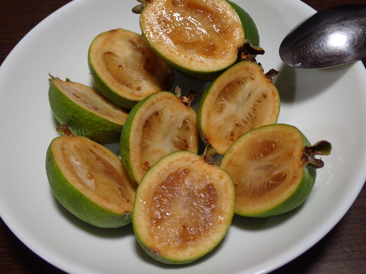 食べ蒔き フェイジョアの食べて 種を蒔いたら発芽した 伊豆で自然と暮らしたい