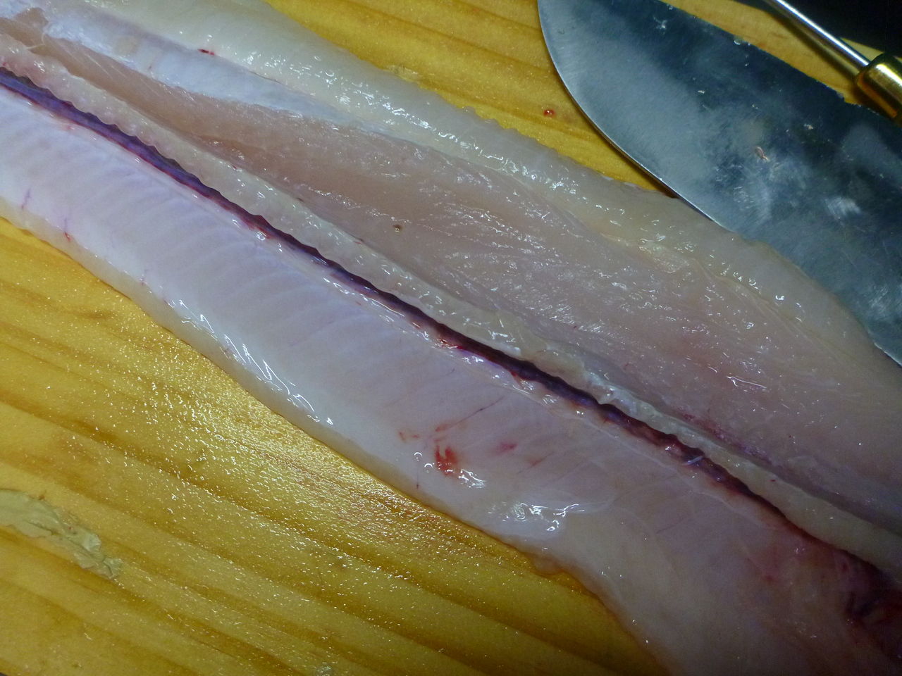 捕まえた巨大ウツボを捌いてみた その2 伊豆で自然と暮らしたい 捕まえた巨大ウツボを捌いてみた その2 伊豆で自然と暮らしたい