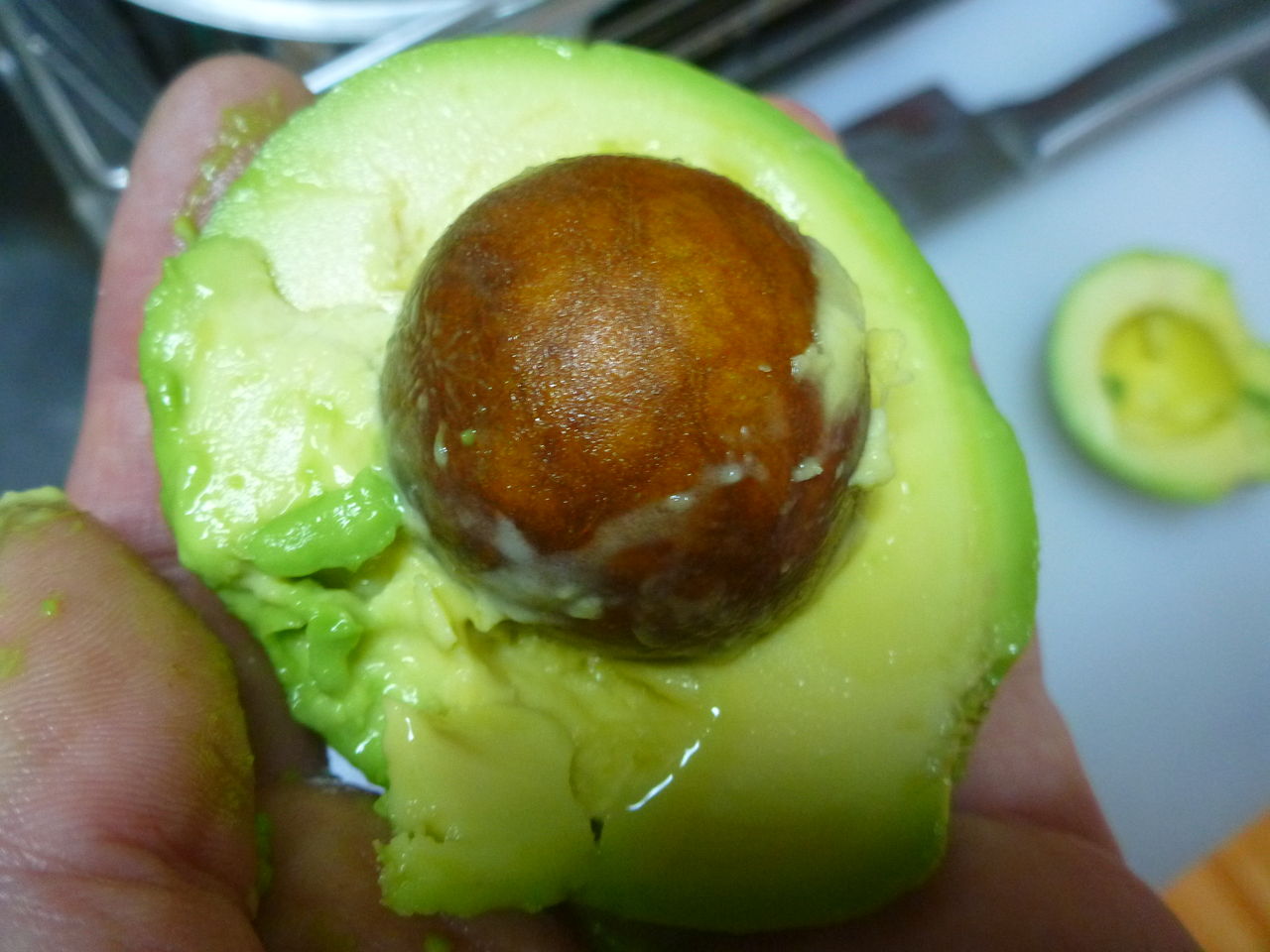 食べた後の種で簡単 アボカドを栽培してみる 伊豆で自然と暮らしたい