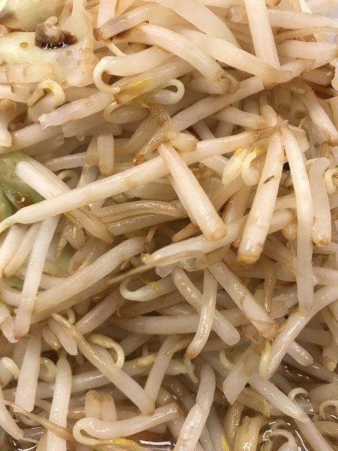 麺屋 元 煮干しラーメン