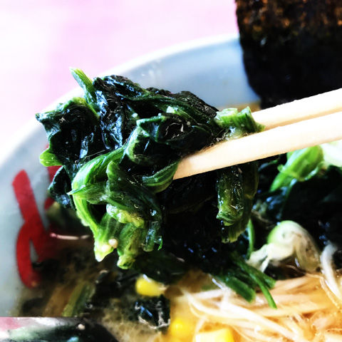 写真 2019-07-11 8 54 23