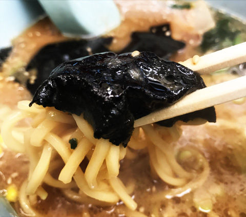 山岡家さんの味噌ラーメンと特製味噌ラーメンの違い