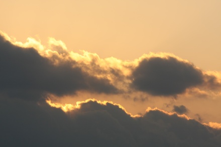 ¥ê¥¢¥¹¼°³¤´ß¡©