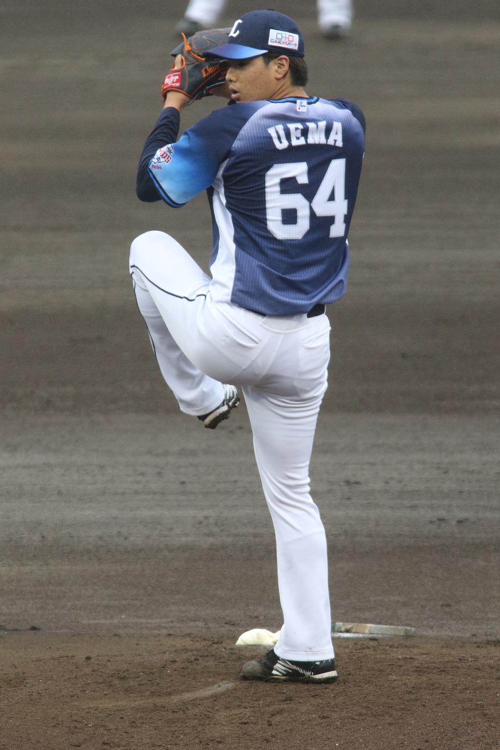 Vaioちゃんのよもやまブログ プロ野球ネタ