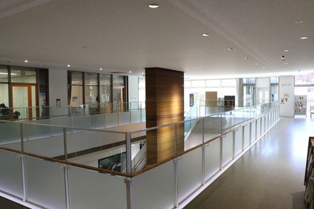 2412 ��� �������� ���蘆����ʤ���ˤ��Фβʳش� 08