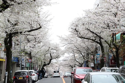 2404���¤κ� 02