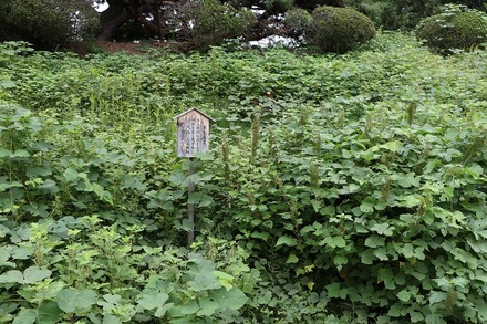 2310 ��� ���� Ǧ���� 02