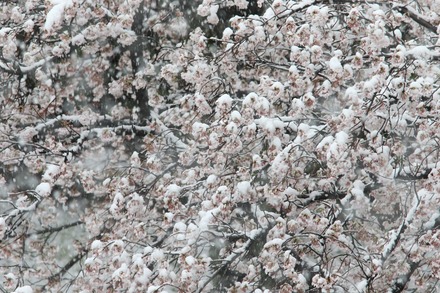 20200329 ���02