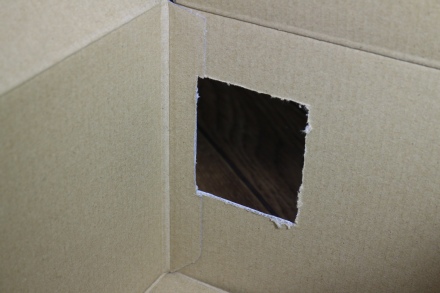 Canon EOS 7D MarkII Ȣ�η�01