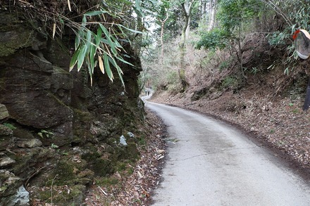 2504 ���ɵ��� �����ܤ���β��� 01