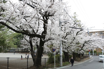 2404����ʿ�κ� 05