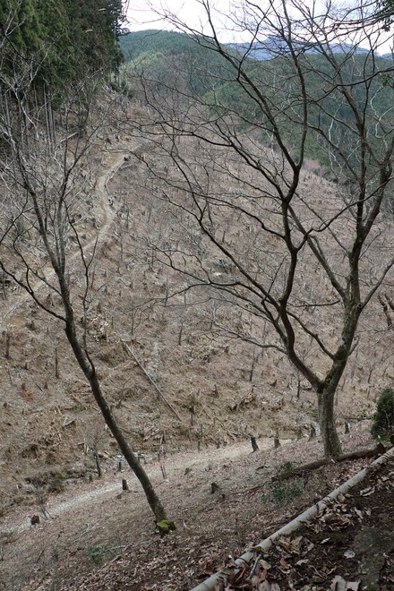 2504 ÆàÎɵÈÌî À¾¹Ô°Ã¤Ø¤ÎÆ» 03