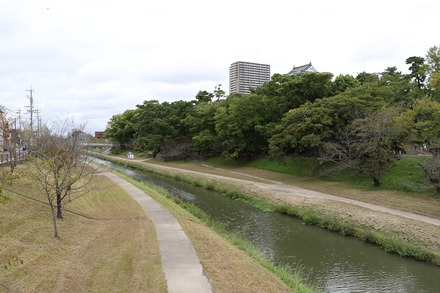 2309 ���� ������� 02