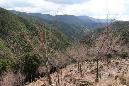 2504 ÆàÎɵÈÌî À¾¹Ô°Ã¤«¤é¤ÎÆ» 02