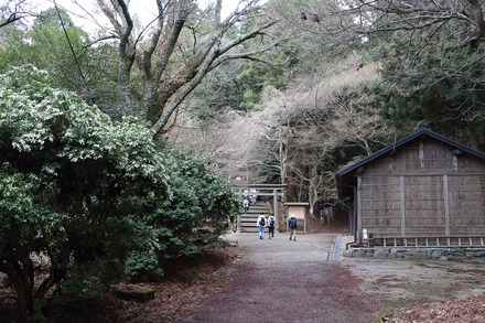 2504 ���ɵ��� �������� 02