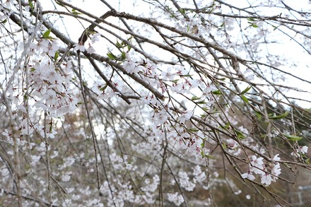 2504 ���ɵ��� ������ 07