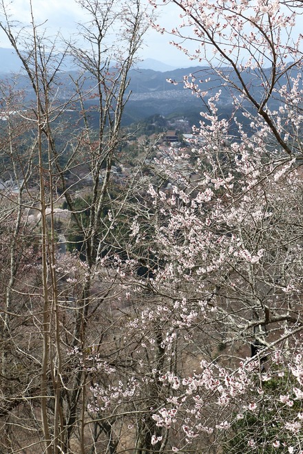 2504 ���ɵ��� ������Ÿ˾�� 06