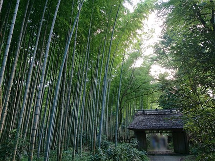 2207 ¸æÅÂ¾ì ¤È¤é¤ä¹©Ë¼ »³Ìç