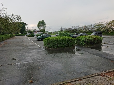 2408 �������޸�ʯ���� 01