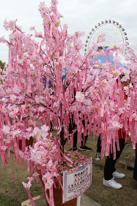 2024 F1 ����GP ͷ���ϼ��� 03