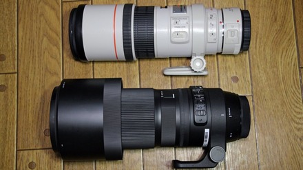 SIGMA 150-600mm DG OS HSM Contemporary 04