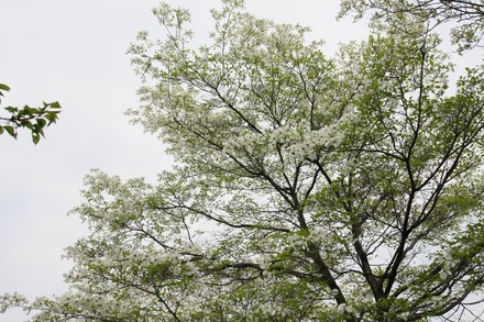 140419 �ֿ���02