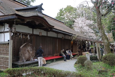 2504 ���ɵ��� �ȿ���� 25