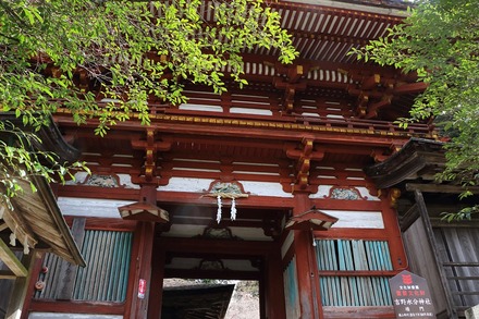 2504 ���ɵ��� �����ʬ���� 03