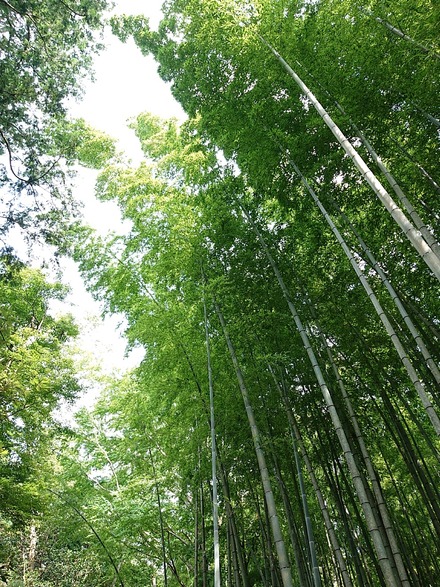 2407 ¸æÅÂ¾ì ¤È¤é¤ä¹©Ë¼ ÃÝÎÓ