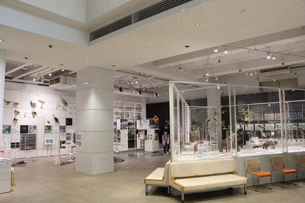 2412 ��� �������� ���蘆����ʤ���ˤ��Фβʳش� 03