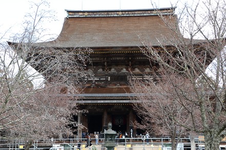 2504 ���ɵ��� �������� 03