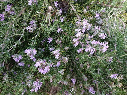 2412�������ޥ꡼02