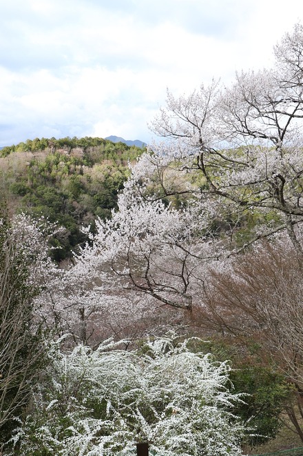 2504 ���ɵ��� ������ 02