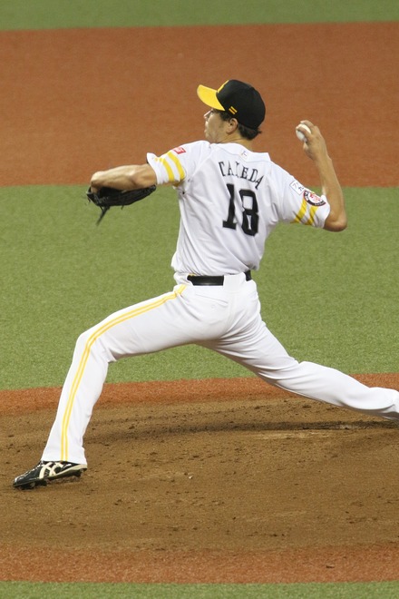 Vaioちゃんのよもやまブログ プロ野球ネタ